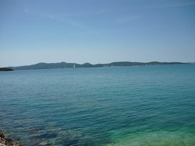 img00007.jpg