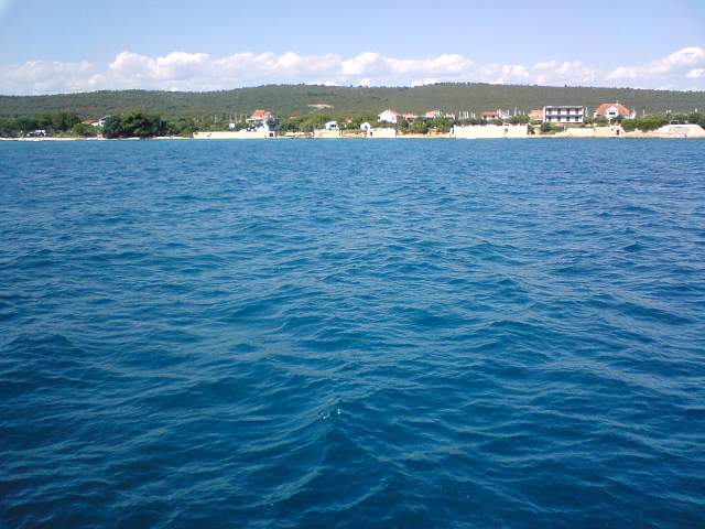 img00060.jpg
