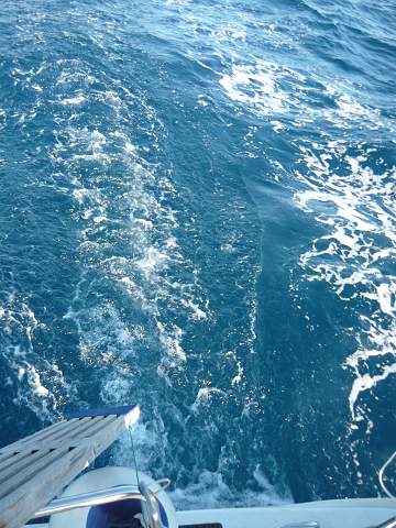 img00070.jpg