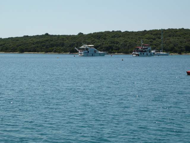 img00088.jpg
