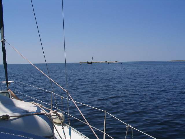 img00102.jpg