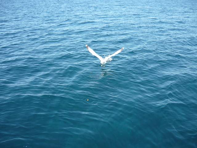img00104.jpg