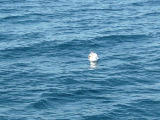 img00106.jpg