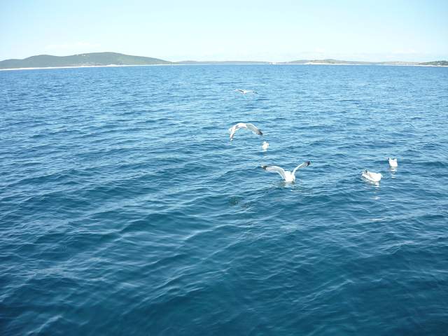 img00109.jpg