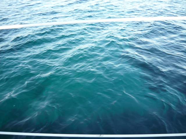 img00150.jpg