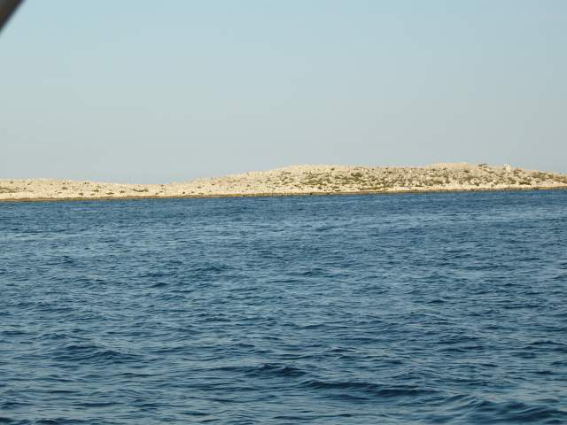img00154.jpg