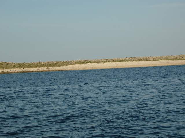 img00155.jpg