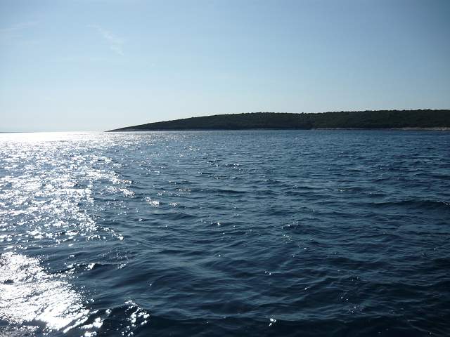 img00164.jpg
