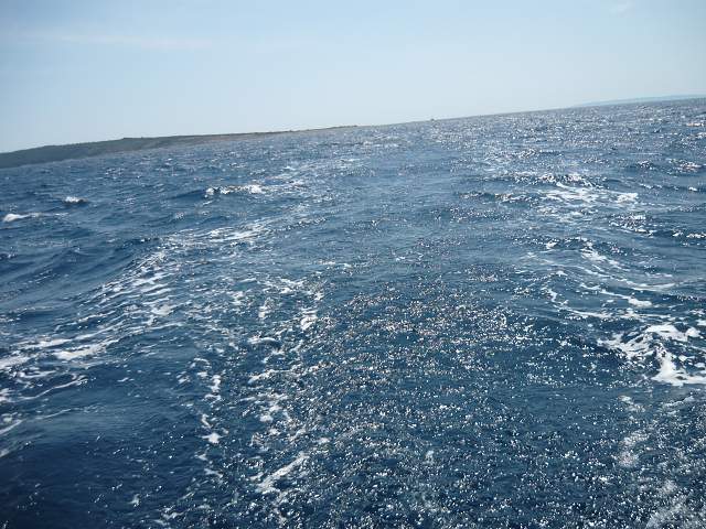 img00168.jpg