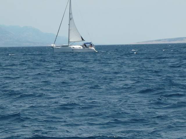 img00169.jpg