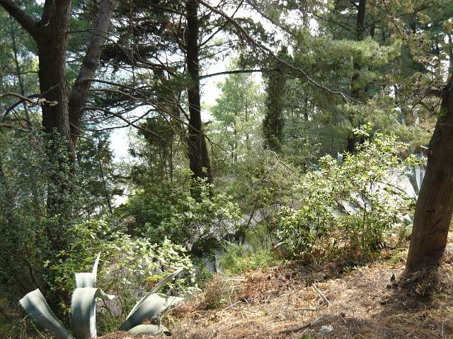 img00185.jpg
