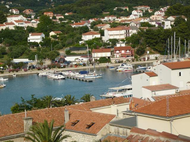img00202.jpg