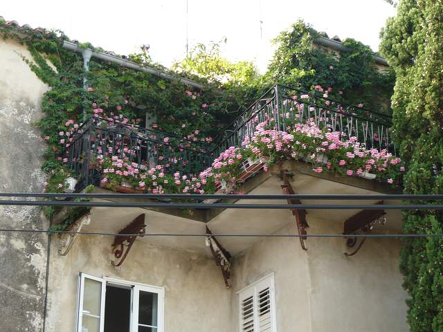 img00215.jpg