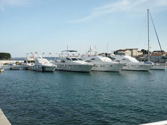 img00229.jpg