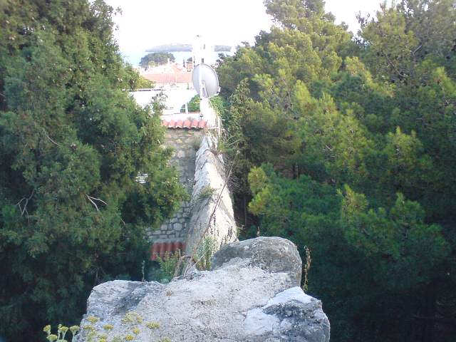 img00241.jpg