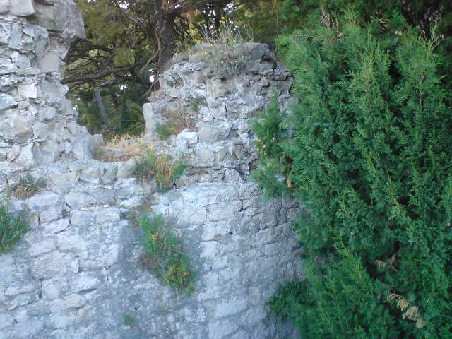 img00243.jpg