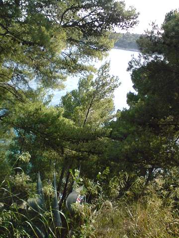 img00249.jpg