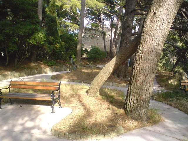 img00250.jpg