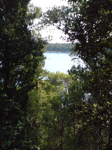 img00252.jpg