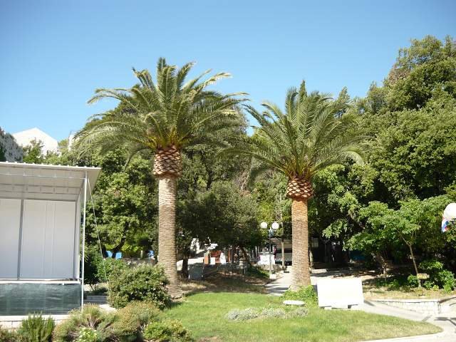 img00263.jpg