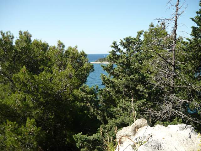 img00271.jpg