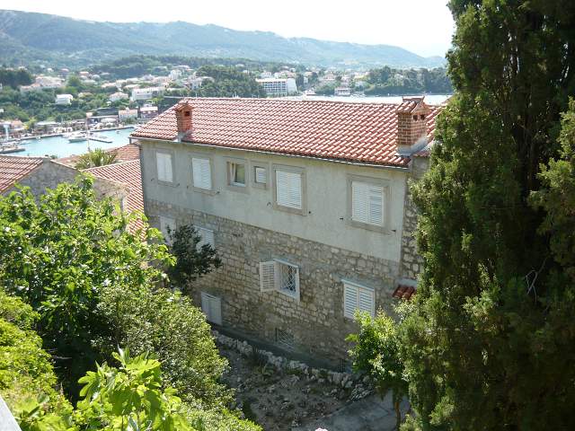 img00272.jpg