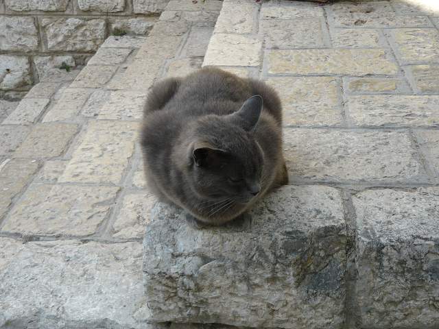 img00274.jpg