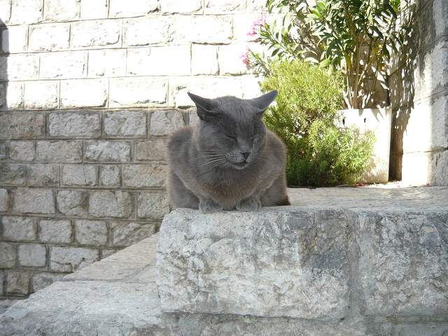 img00275.jpg