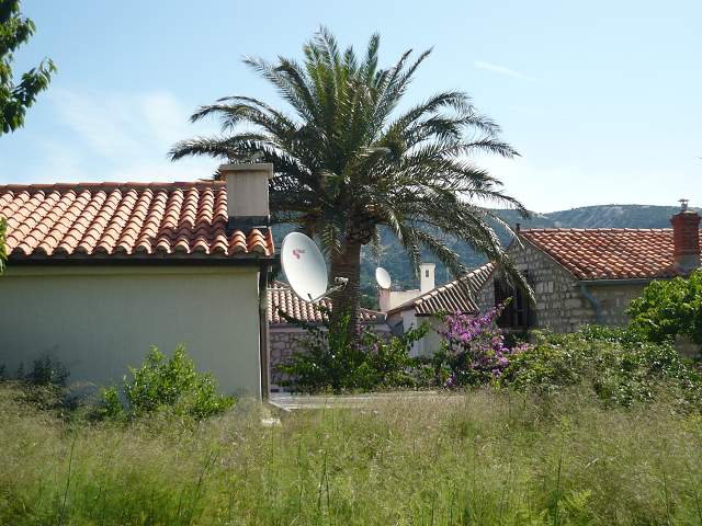 img00280.jpg