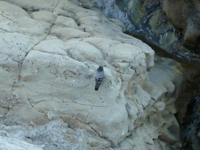 img00284.jpg