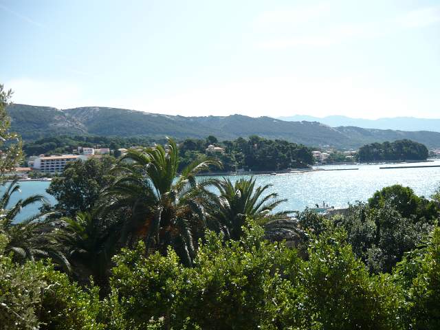 img00290.jpg