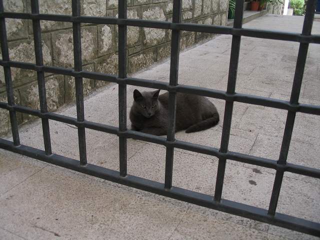 img00306.jpg