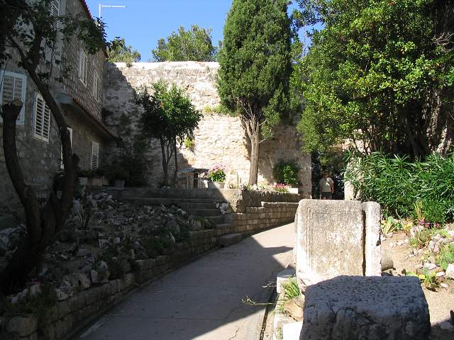 img00307.jpg