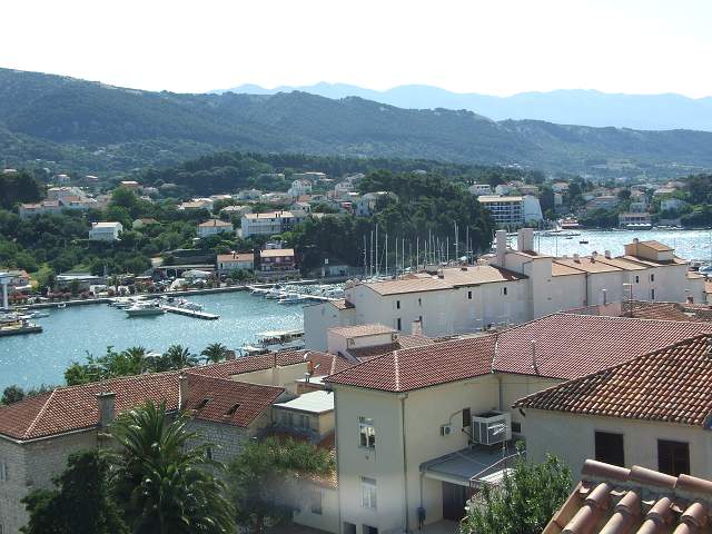 img00313.jpg