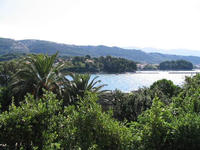 img00338.jpg