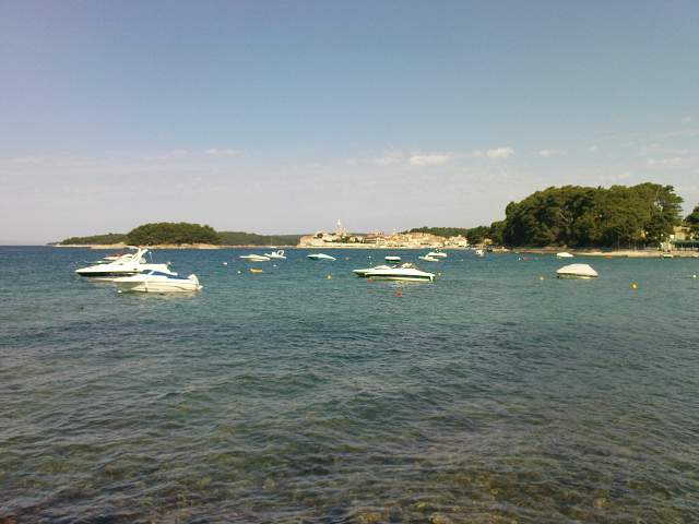 img00340.jpg