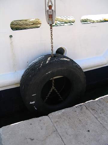 img00342.jpg