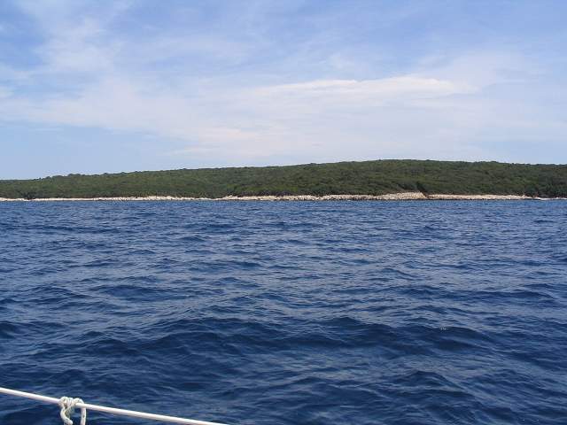 img00353.jpg