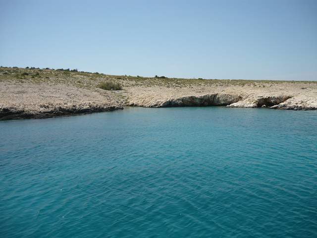 img00363.jpg