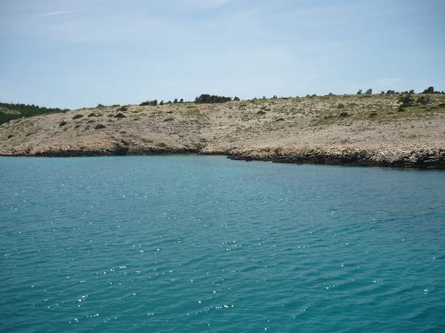 img00364.jpg