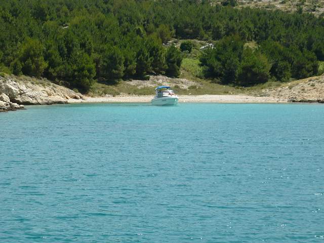 img00365.jpg