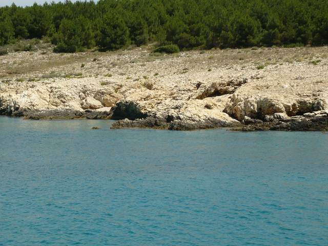 img00366.jpg