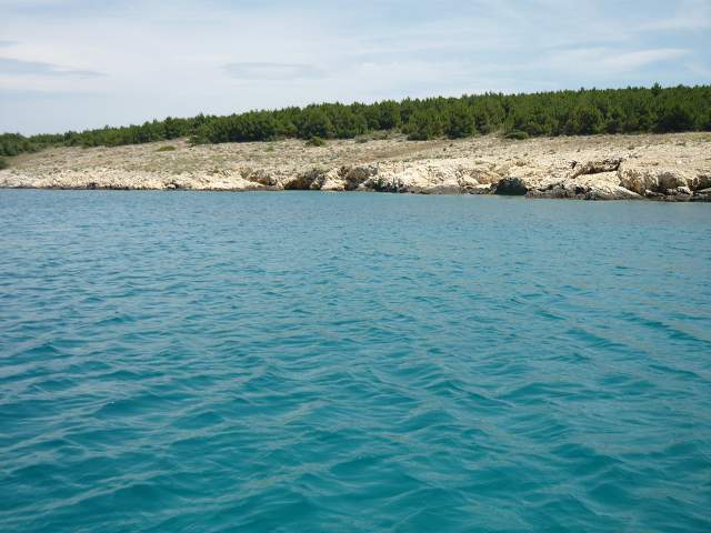 img00371.jpg