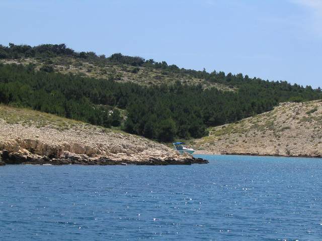 img00374.jpg