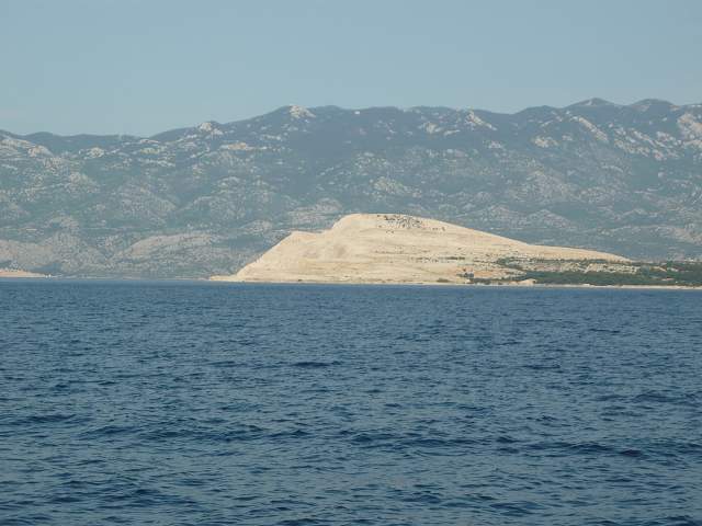 img00382.jpg