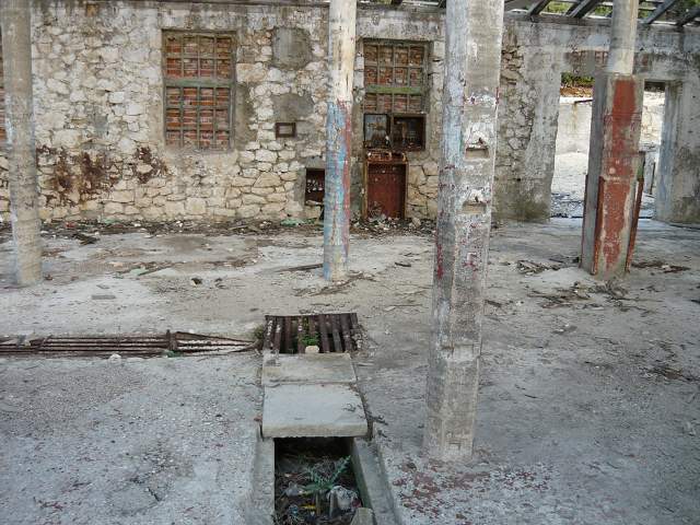 img00402.jpg