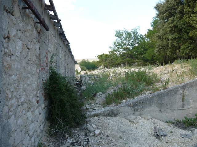 img00406.jpg