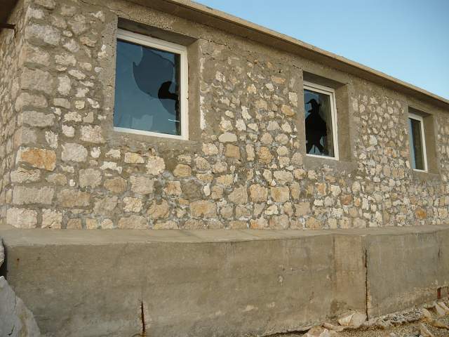 img00418.jpg