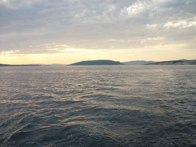 img00445.jpg
