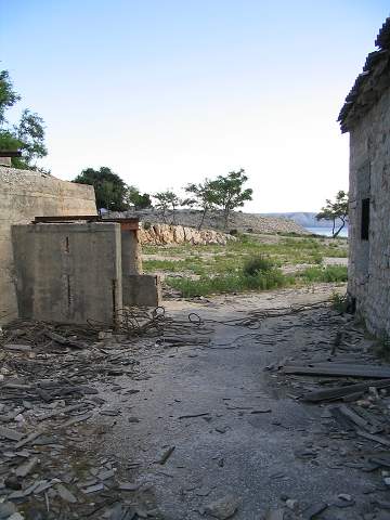 img00464.jpg